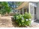 Charming backyard with hydrangeas, swing set, and access to the screened in porch at 1199 Landau Ln, Mount Pleasant, SC 29466