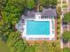 Aerial view of a community pool surrounded by trees and lounge chairs for relaxing at 1317 Wild Olive Dr, Mount Pleasant, SC 29464
