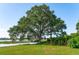 Mature tree gracing a backyard with bay views in the background at 1467 Battalion Dr, James Island, SC 29412