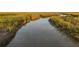 Beautiful marsh with golden tall grasses along a serene body of water, showcasing a tranquil and natural landscape at 1569 Red Tide Rd, Mount Pleasant, SC 29466