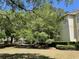 Grassy backyard surrounded by mature trees and manicured hedges at 1600 Long Grove Dr # 411, Mount Pleasant, SC 29464