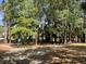 Backyard area with trees and a glimpse of the pool at 1600 Long Grove Dr # 411, Mount Pleasant, SC 29464