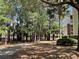 Trees and lush foliage in the backyard at 1600 Long Grove Dr # 411, Mount Pleasant, SC 29464