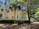Residential building with light yellow siding behind a tree with a palm tree at 1600 Long Grove Dr # 411, Mount Pleasant, SC 29464