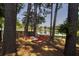 Secluded backyard oasis featuring a hammock strung between trees, offering a serene escape by the lake at 1709 Blalock St, Mount Pleasant, SC 29466