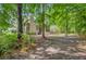 Lush backyard with a partial view of the house, trees, and natural landscape at 1851 Oleander Ct, Charleston, SC 29414