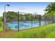 A community tennis court area is fenced in and overlooks a wooded area at 200 Oak Point Landing Dr, Mount Pleasant, SC 29464