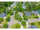 A neighborhood aerial view showing manicured lawns and mature trees surrounding the beautiful homes at 2184 Tall Grass Cir, Mount Pleasant, SC 29466