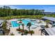 Aerial view of a sparkling community pool with palm trees, lounge chairs, and shade structures near a pond at 318 Ripple Park Dr, Summerville, SC 29486