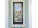 Inviting front door with a glass panel reflecting neighborhood charm and an American flag at 3751 Copahee Sound Dr, Mount Pleasant, SC 29466