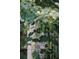 Close-up of grape vines growing on a fence, showcasing the property's lush and well-tended garden at 3751 St Ellens Dr, Mount Pleasant, SC 29466