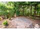 Serene backyard with a circular brick patio, perfect for outdoor gatherings at 5002 W Liberty Meadows Dr, Summerville, SC 29485
