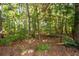 Tranquil view of the wooded lot at 5002 W Liberty Meadows Dr, Summerville, SC 29485