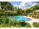 Beautiful backyard pool surrounded by lush greenery, patio space, and a mix of trees and plants under a bright sky at 102 Ashborough Ave, Summerville, SC 29485