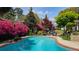 Refreshing swimming pool surrounded by lush greenery and vibrant azaleas, creating a serene backyard oasis at 102 Ashborough Ave, Summerville, SC 29485