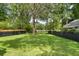 Well-manicured backyard with lush green grass, mature trees, and a black fence at 1055 Royalist Rd, Mount Pleasant, SC 29464