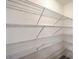 Walk-in closet featuring metal rack shelving for optimal storage and organization at 110 Salinas Ct, Summerville, SC 29483