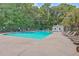 Large community pool area with lounge chairs, tables, and a pool house, perfect for summer relaxation at 110 Salinas Ct, Summerville, SC 29483
