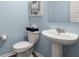 Powder blue half bathroom with modern pedestal sink and decor at 130 Spotted Way, Summerville, SC 29485