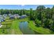Aerial view of homes with pond access, surrounded by lush greenery providing a peaceful and private setting at 141 Cherry Grove Dr, Summerville, SC 29483
