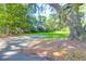 A charming home exterior is framed by mature trees, showcasing its curb appeal and inviting atmosphere at 1521 Wren Ave, Mount Pleasant, SC 29464