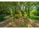 Leafy backyard with a privacy fence underneath a large oak tree at 1655 Pinckney Park Dr, Charleston, SC 29407