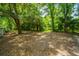 Spacious backyard featuring mature trees and natural ground cover, perfect for enjoying the outdoors at 1655 Pinckney Park Dr, Charleston, SC 29407