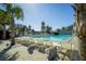Swimming pool with plenty of poolside seating under beach umbrellas surrounded by palms at 1671 Indy Dr, North Charleston, SC 29405