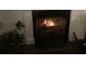 Indoor fireplace with lit fire and greenery nearby at 1928 Chatelain Way, Mount Pleasant, SC 29464