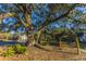 Mature trees line the community grounds, with a hammock for relaxing at 1928 Chatelain Way, Mount Pleasant, SC 29464