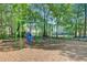 Community playground with swings and a swing set, providing a fun and safe space for children to play outdoors at 2008 Welsh Pony Dr, Mount Pleasant, SC 29429