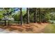Beautiful property featuring a gated entrance, mature trees, and well-maintained landscaping for enhanced privacy at 206 Chaussee Blvd, Summerville, SC 29483