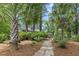 Beautiful stone walkway to a well landscaped front yard with palm trees at 206 Chaussee Blvd, Summerville, SC 29483