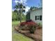 Landscaped corner of the house with a palm tree, bushes, and vibrant red roses by a calming lake at 206 Chaussee Blvd, Summerville, SC 29483