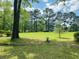 Extensive grassy backyard featuring mature trees and greenery, perfect for outdoor activities and relaxation at 206 Chaussee Blvd, Summerville, SC 29483