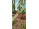 Charming stone pathway amidst lush landscaping leads to a serene outdoor space, showcasing the property's natural beauty at 206 Chaussee Blvd, Summerville, SC 29483