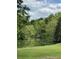 Picturesque pond view surrounded by lush greenery and mature trees creating a serene and private setting at 206 Chaussee Blvd, Summerville, SC 29483