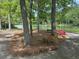 Scenic view of a tranquil pond, accented by vibrant azaleas and shaded by mature trees, offering a peaceful retreat at 206 Chaussee Blvd, Summerville, SC 29483