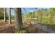 Serene view of a pond, adorned with colorful azaleas and a bench, creating a tranquil outdoor oasis at 206 Chaussee Blvd, Summerville, SC 29483
