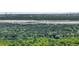 Distant view of the bridge and the surrounding lush scenery from a vantage point at 2109 Rowan Rd, Johns Island, SC 29455