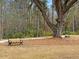 Picturesque park scene with benches beneath a mature tree, offering a peaceful retreat at 2109 Rowan Rd, Johns Island, SC 29455