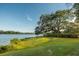 Scenic view of a lake with a large tree and lush green lawn on the shoreline at 2431 Settlers St, Charleston, SC 29492