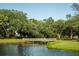 A charming wooden bridge crosses the pond, surrounded by lush greenery and mature trees at 2431 Settlers St, Charleston, SC 29492