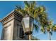 Close-up of a vintage-style street lamp with palm trees against a clear blue sky at 2431 Settlers St, Charleston, SC 29492
