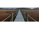 Picturesque boardwalk surrounded by lush marshland, creating a tranquil and scenic waterfront pathway at 2705 Parkers Landing Rd, Mount Pleasant, SC 29466