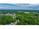 An aerial shot displays homes surrounded by dense green trees, offering a sense of privacy and seclusion at 3031 Ellington Dr, Summerville, SC 29485
