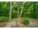 Lush, wooded backyard with mature trees, natural landscaping, and a stone path at 3031 Ellington Dr, Summerville, SC 29485