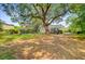 Expansive backyard with mature trees providing ample shade and privacy, showing the home's exterior at 318 N Magnolia St, Summerville, SC 29483
