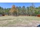 Expansive backyard with a line of trees creating privacy at 5525 Alpine Dr, Summerville, SC 29483