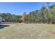 Sprawling backyard featuring mature trees and a wooden fence surrounding the property at 5525 Alpine Dr, Summerville, SC 29483